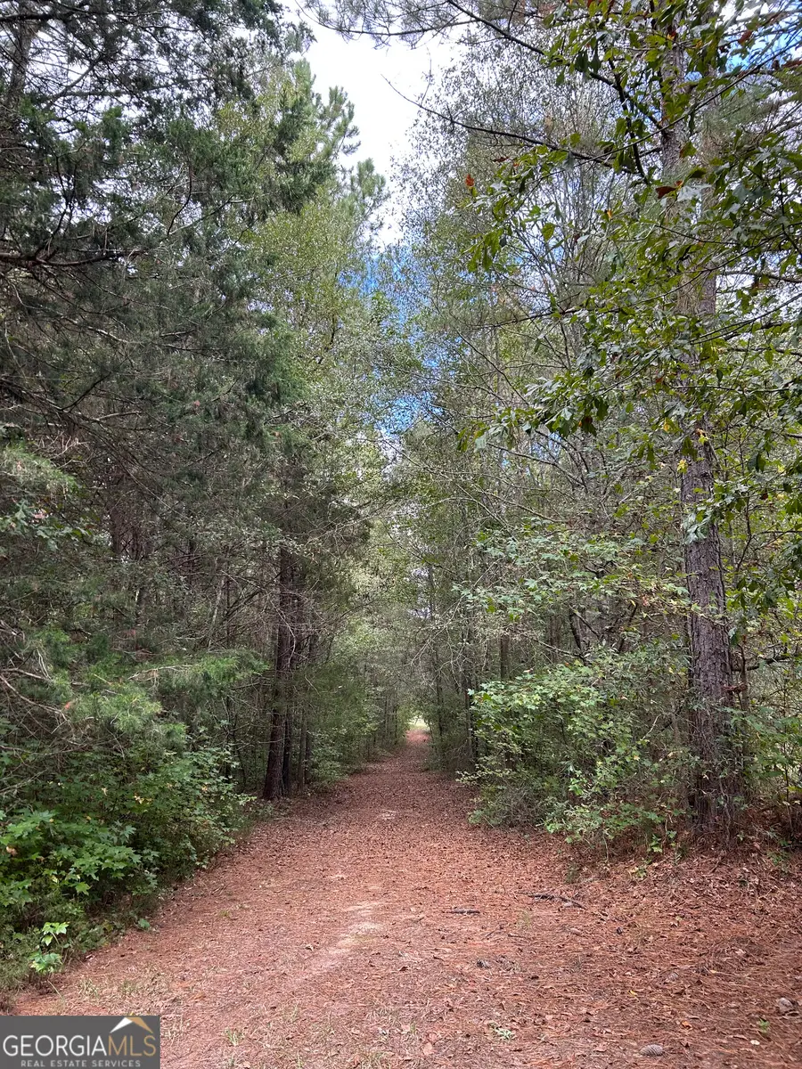 016 014 Pedenville/flatshoals/knott Roads, Concord, GA 30206 - #2