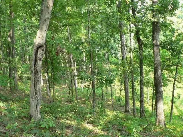 0 Duncan Bridge Road, Cleveland, GA 30528 - #2