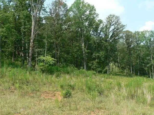 0 Duncan Bridge Road, Cleveland, GA 30528 - #3
