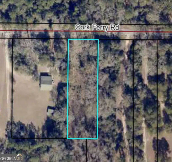 0 Cork Ferry Road, Cordele, GA 31015 - Image #1