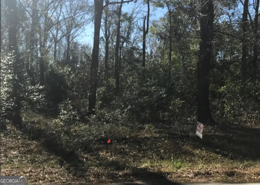 0 Cork Ferry Road, Cordele, GA 31015 - Image #2