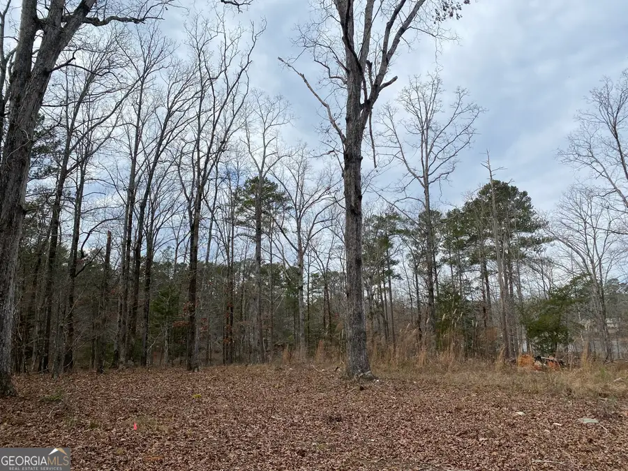 0 Paradise Street, Lincolnton, GA 30817 - #2