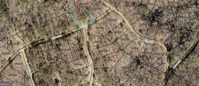 236 Pinnacle Dr (lt#236), Ellijay, GA 30540 - #3