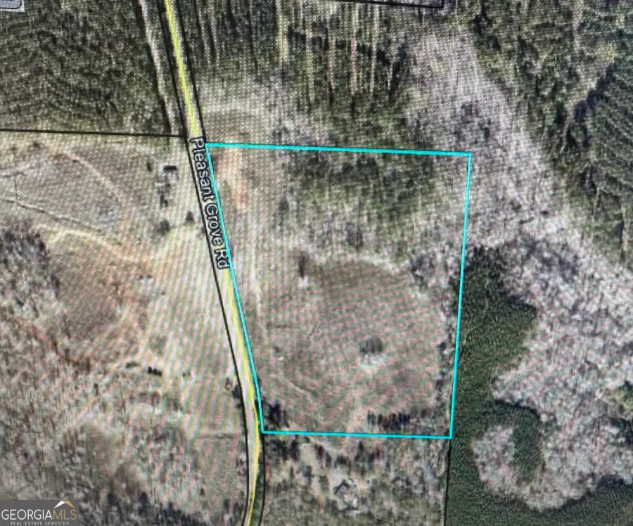0 Pleasant Grove Rd, Yatesville, GA 31097 - Image #3