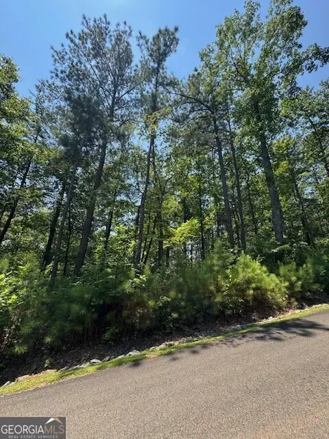 0 Carters View, Ellijay, GA 30540 - #1