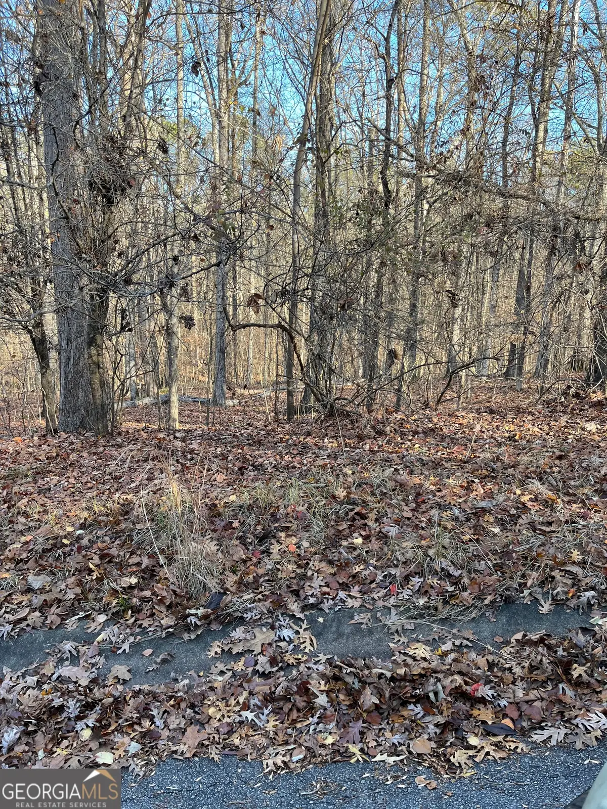 1129 Porter Circle, Gray, GA 31032 - Image #1