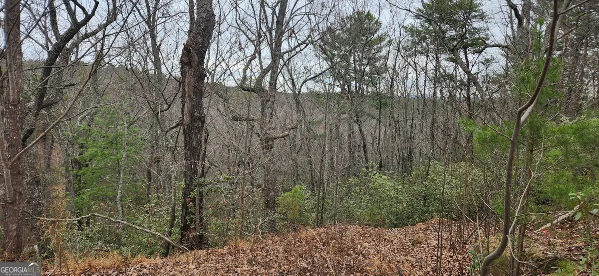 0 Vista Dell Lane, Tallulah Falls, GA 30573 - Image #1