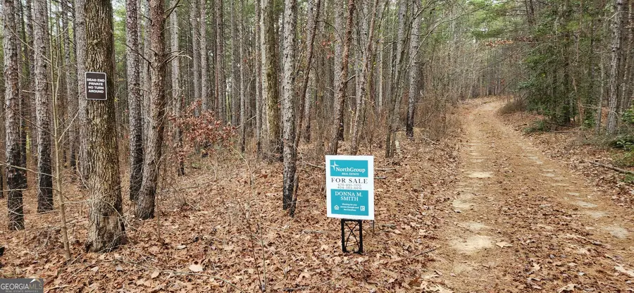0 Vista Dell Lane, Tallulah Falls, GA 30573 - Image #3