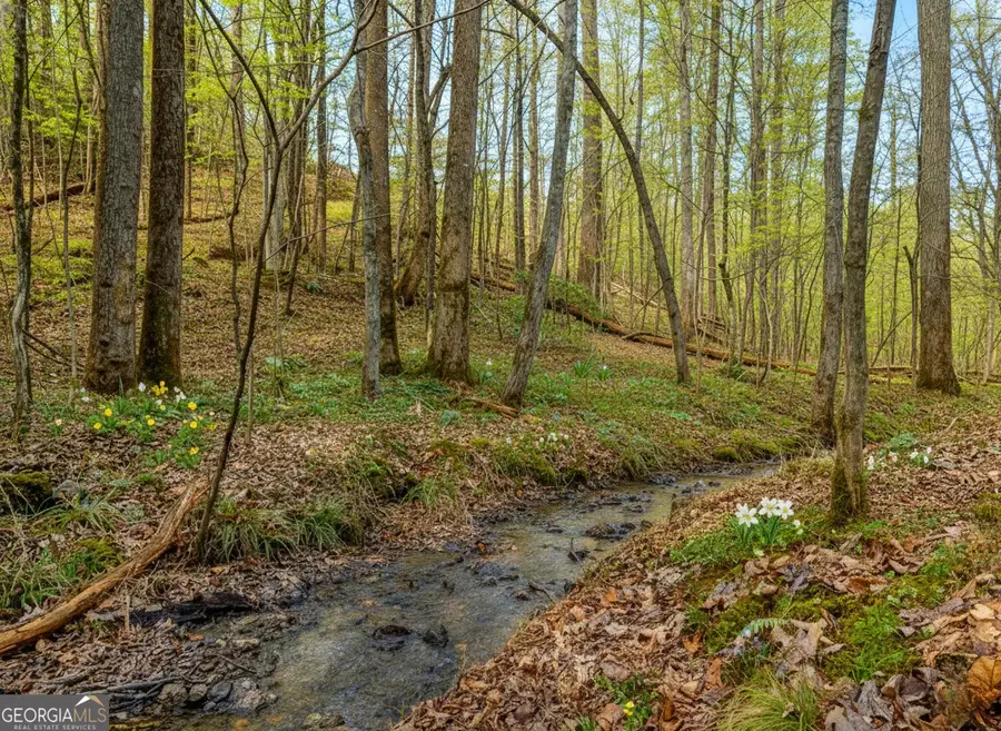 6.44 Whispering Oaks Drive, Ellijay, GA 30540 - Image #3