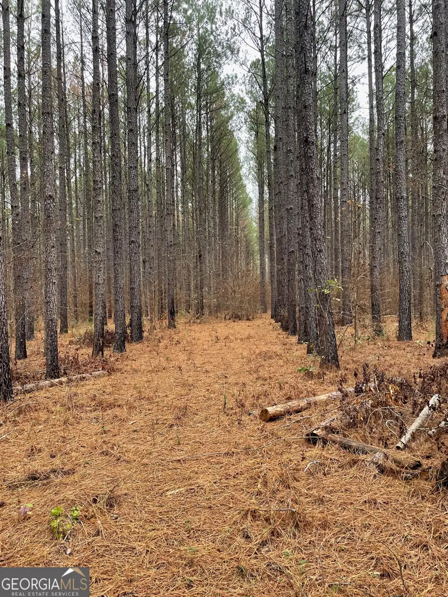 0 Hebron Church Road, Thomaston, GA 30286 - Image #3