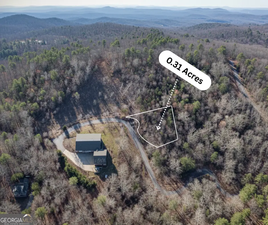 0 Ezra Court, Ellijay, GA 30540 - #1