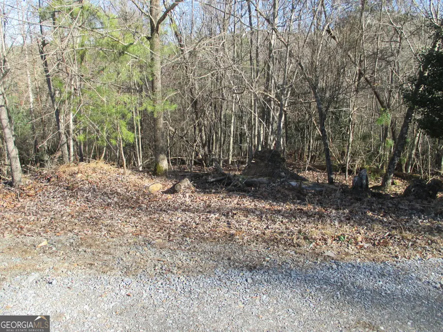 0 Ezra Court, Ellijay, GA 30540 - #3