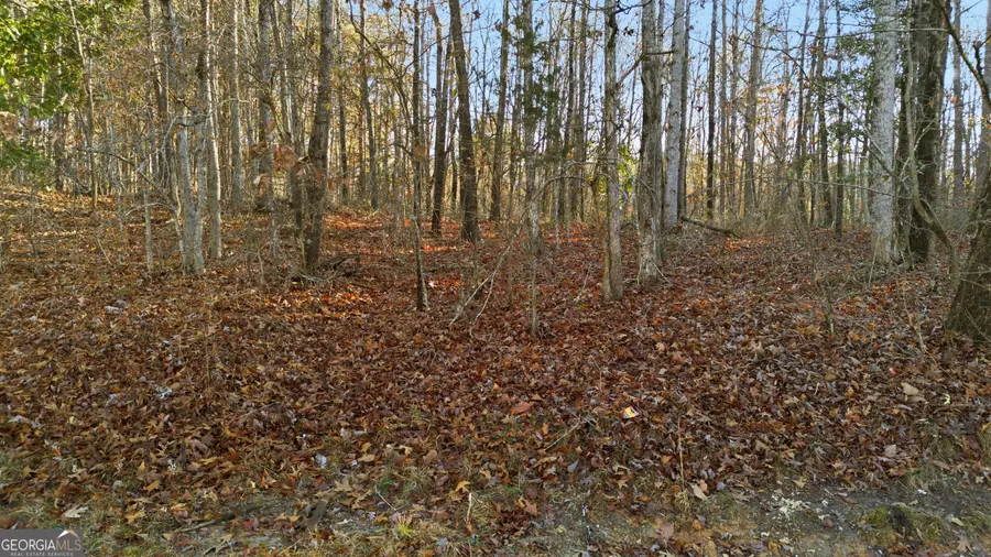 0 Stephen Drive, Toccoa, GA 30577 - Image #2