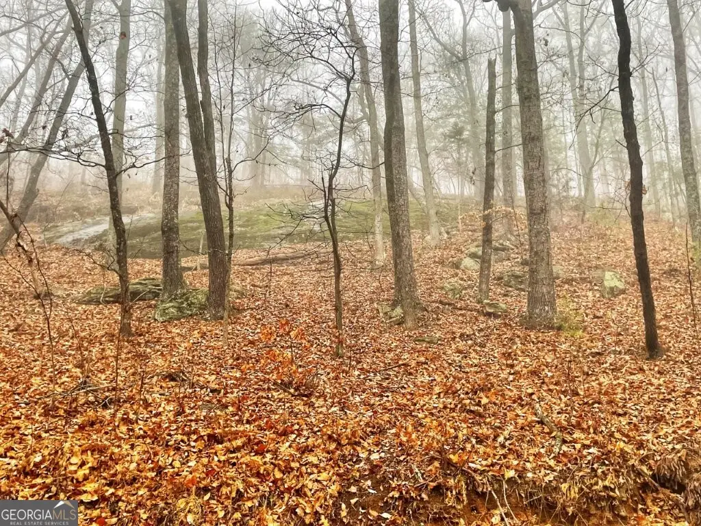 0 Fox Mountain Road, Hiddenite, NC 28636 - Image #1