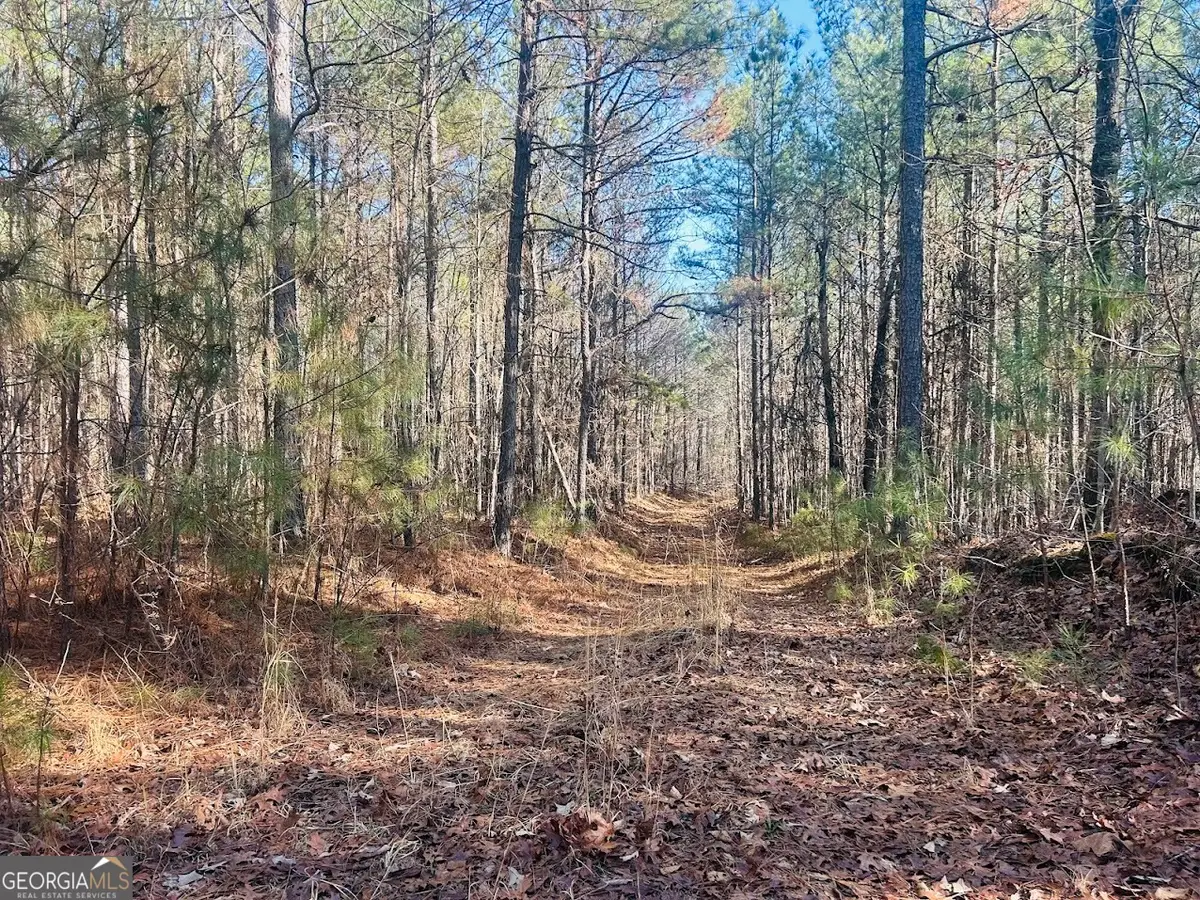 0 Bluff Springs Road, Ashland, AL 36251 - Image #1