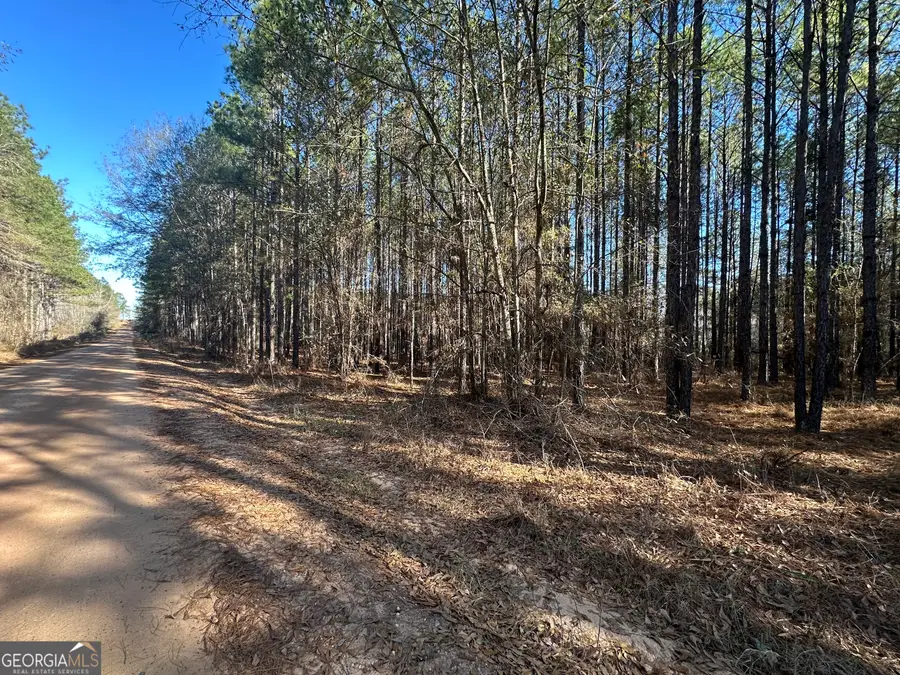 0 Harmony Lane, Milan, GA 31060 - #3