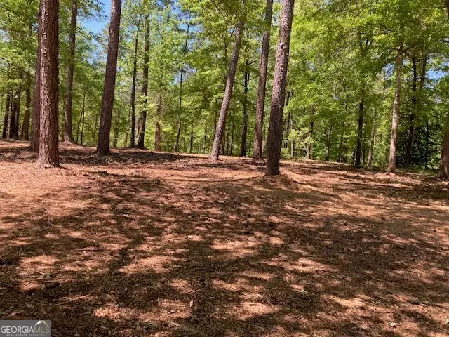 00 Evergreen Road, Dublin, GA 31021 - Image #3