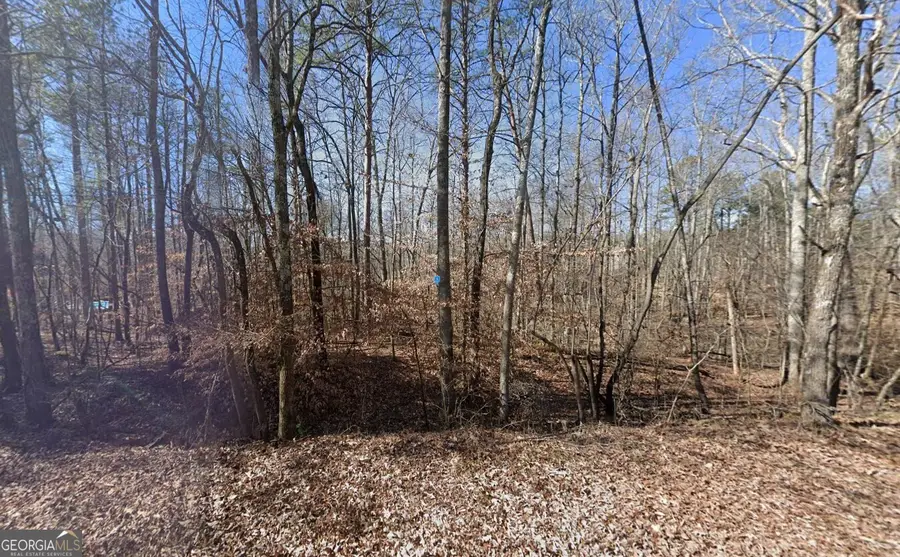 2550 Pettit Road, Jasper, GA 30143 - Image #2