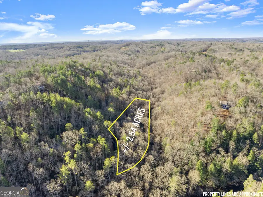 0 River View Lots 12 & 13 Trail W, Dahlonega, GA 30533 - Image #2