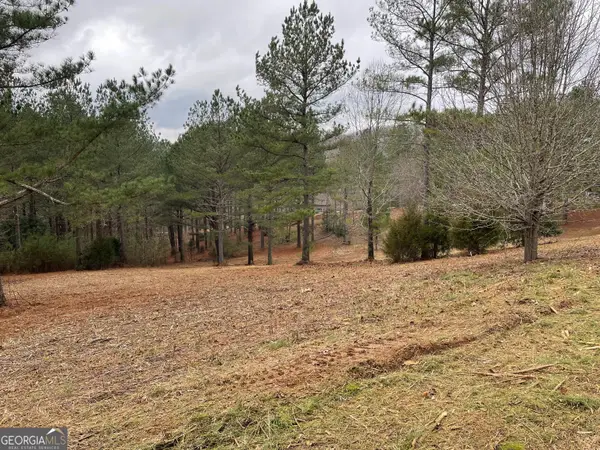 LOT 39 Pinehurst #39, Blairsville, GA 30512