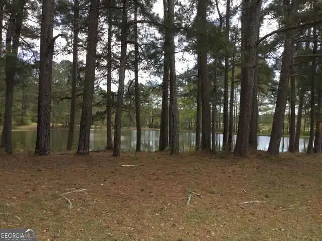 1305 & 1307 Hwy 54 East Highway, Fayetteville, GA 30214 - Image #2