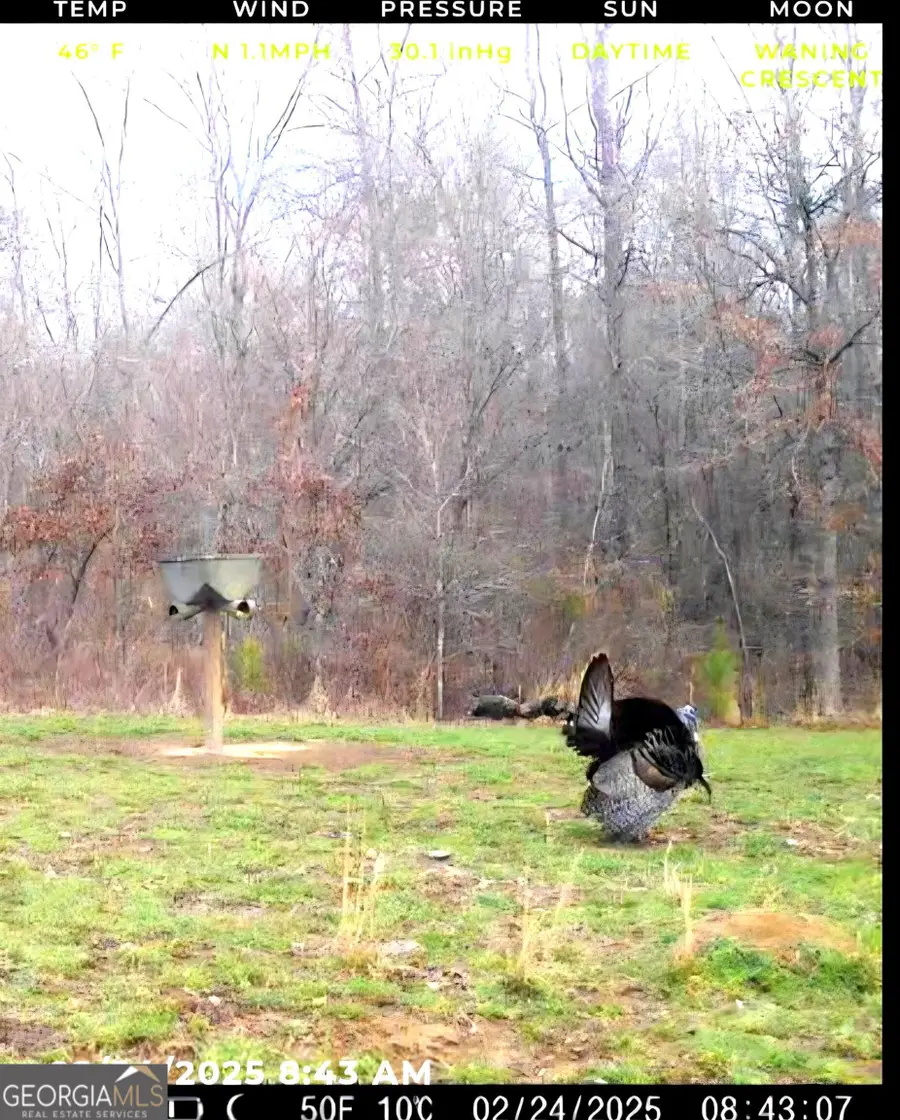 240 80 Highway, Culloden, GA 31016 - Image #3