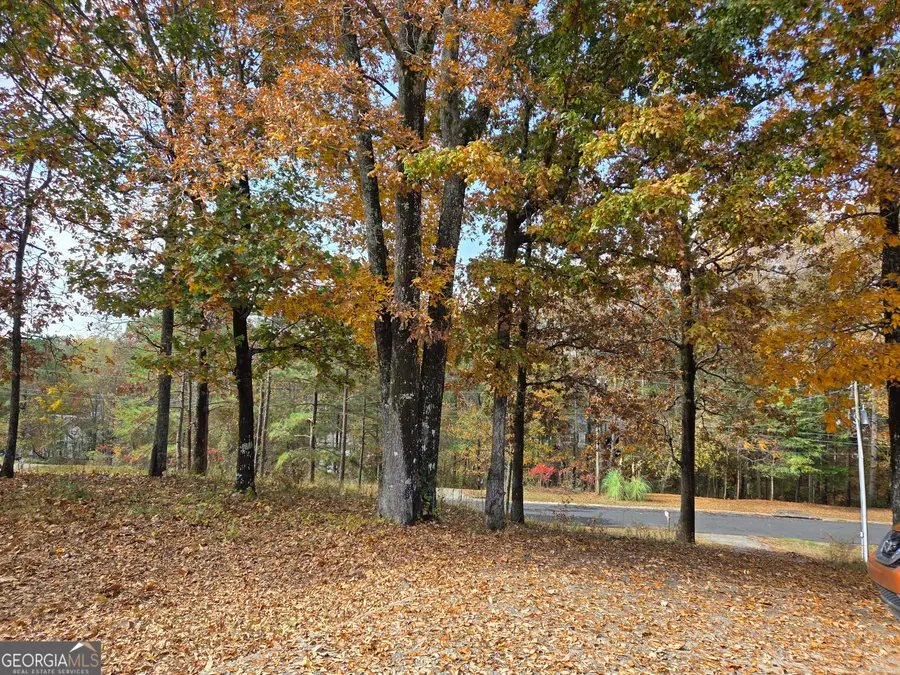 80 Gales Way, Newnan, GA 30263 - Image #2