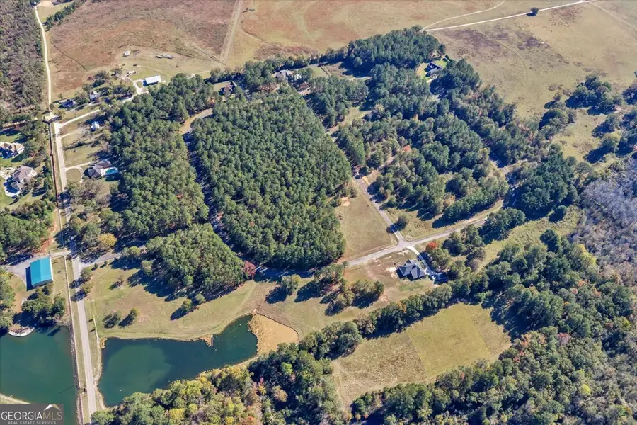 LOT 30 Sweet Magnolia Lane, Dublin, GA 31021 - Image #3