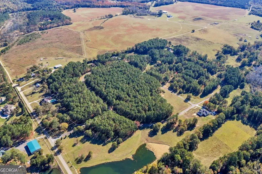 LOT 31 Sweet Magnolia Lane, Dublin, GA 31021 - Image #3