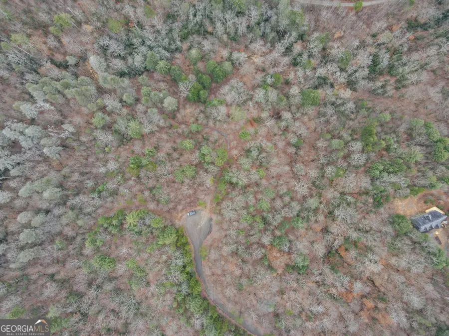0 Bryant Creek Road, Ellijay, GA 30540 - Image #3