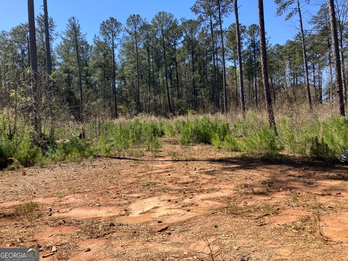 2920 Airline Road, McDonough, GA 30252 - Image #1