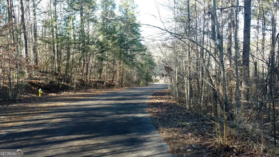 SPRINGVIEW DR. Springview Drive, Westminster, SC 29693 - Image #3