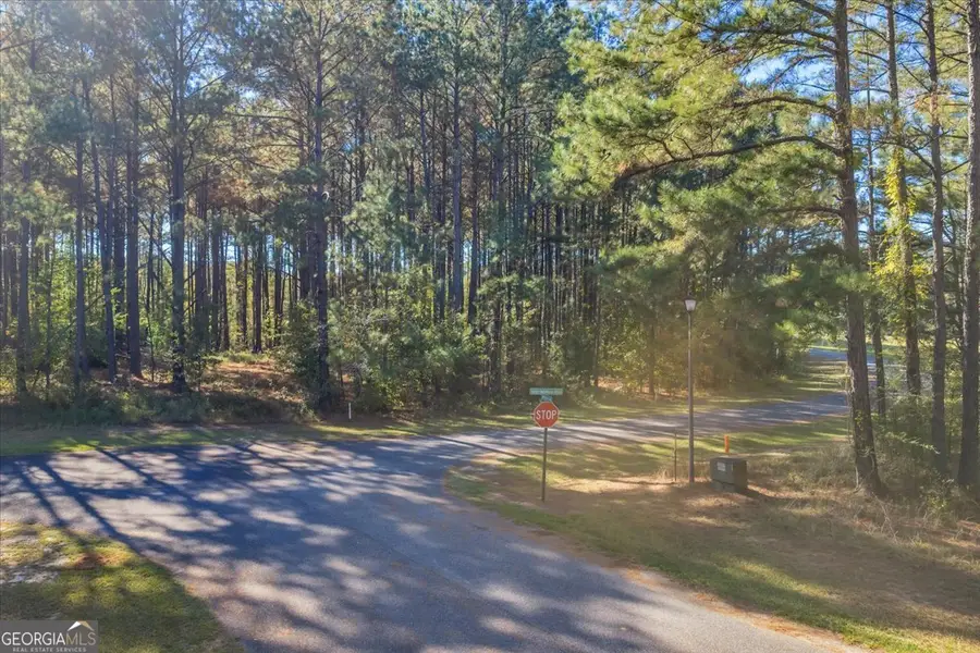 LOT 41 Sweet Magnolia Circle, Dublin, GA 31021 - Image #3