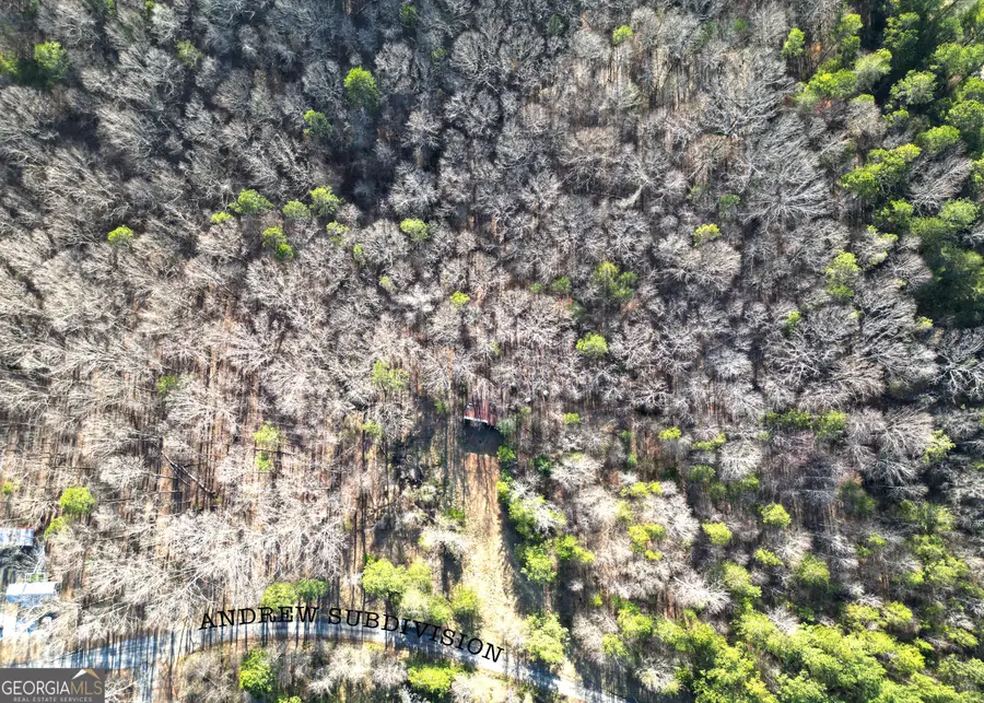 0 Andrews Subdivision Lot 7, Lavonia, GA 30553 - Image #3