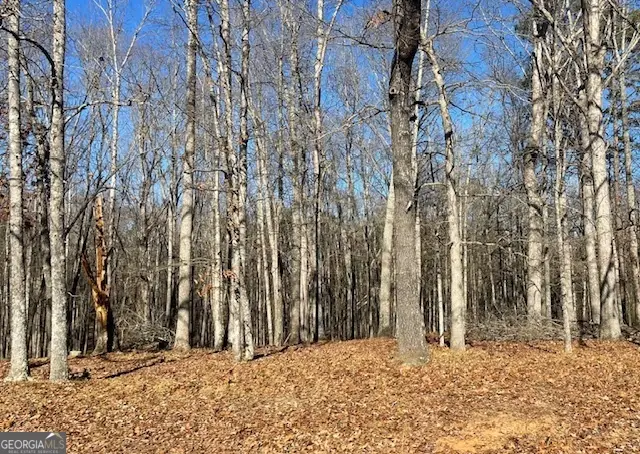 0 Chappell Road #LOT 2, Fayetteville, GA 30215 - Image #1