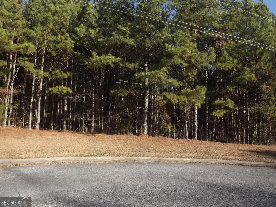 LOT 4 Skyview Street, Cedartown, GA 30125 - Image #3