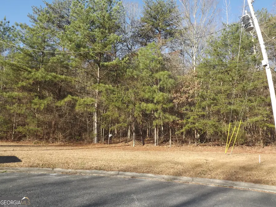 LOT 3 Skyview Street, Cedartown, GA 30125 - Image #2