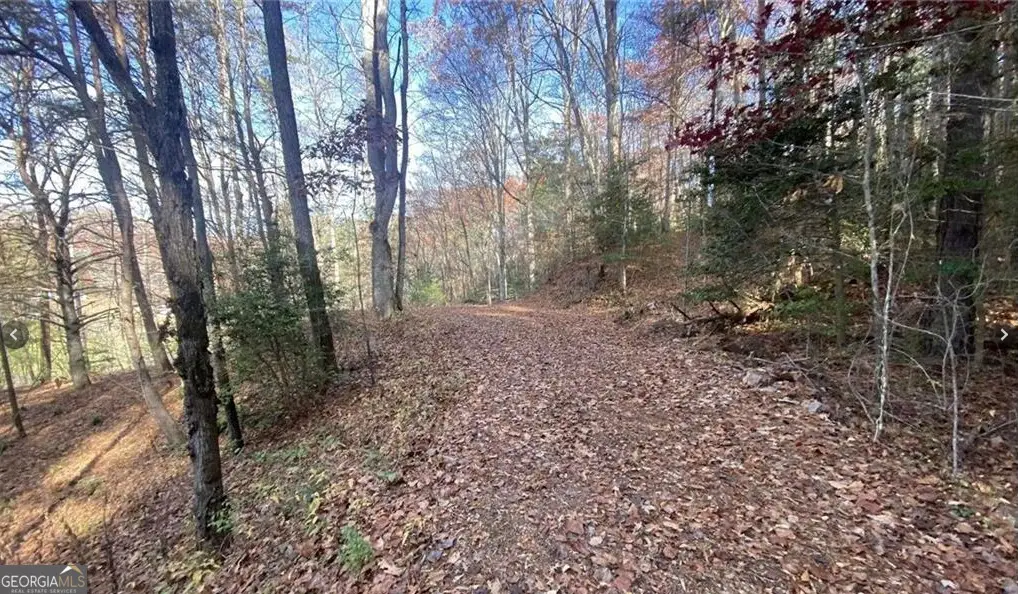 1 Barefoot Hills Road, Hiawassee, GA 30546 - #1