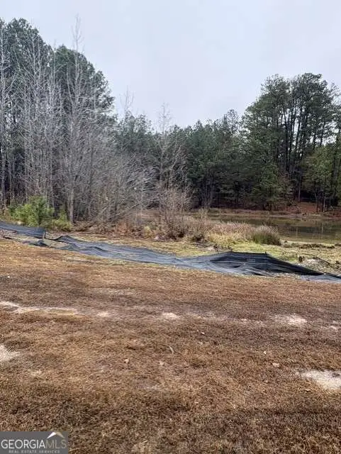 4272 Giverney Boulevard, Fairburn, GA 30213 - Image #3