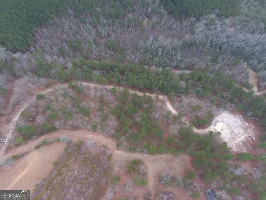 0 Blume Road, Mitchell, GA 30820 - Image #3