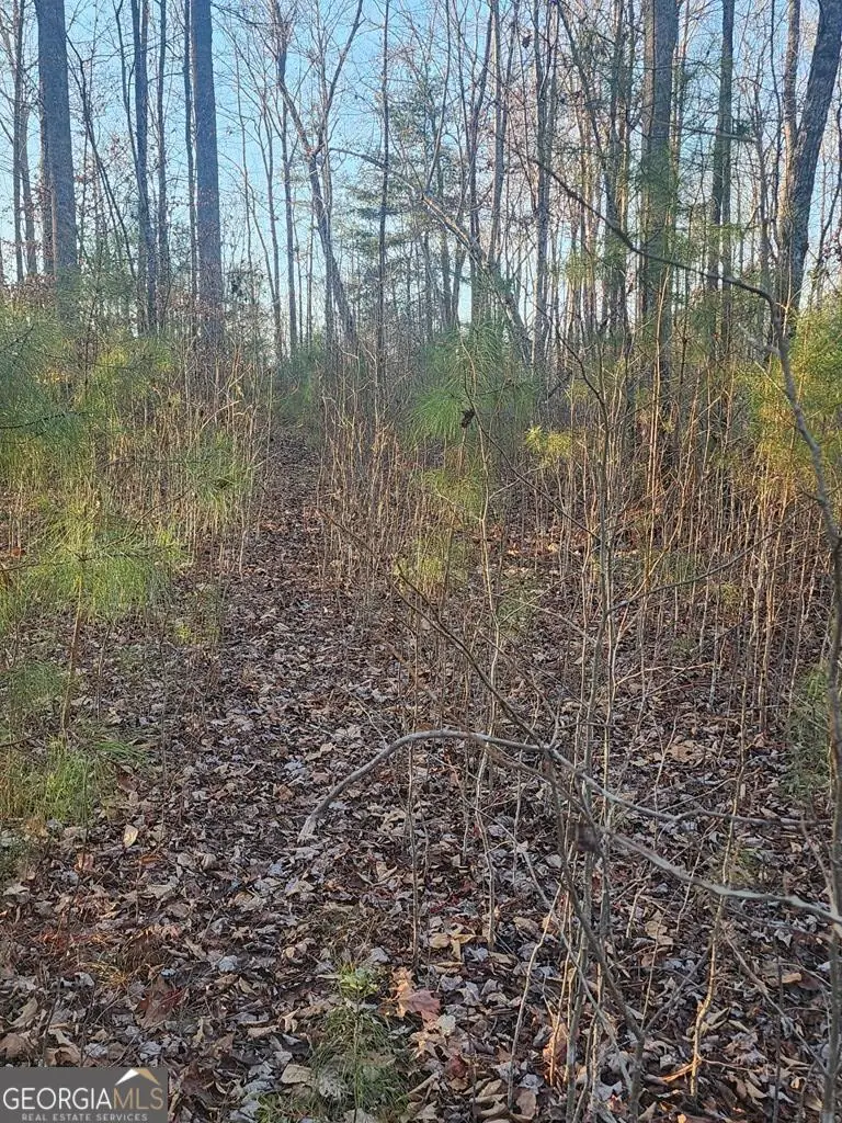 6720 Highway 382 W, Ellijay, GA 30540 - Image #2