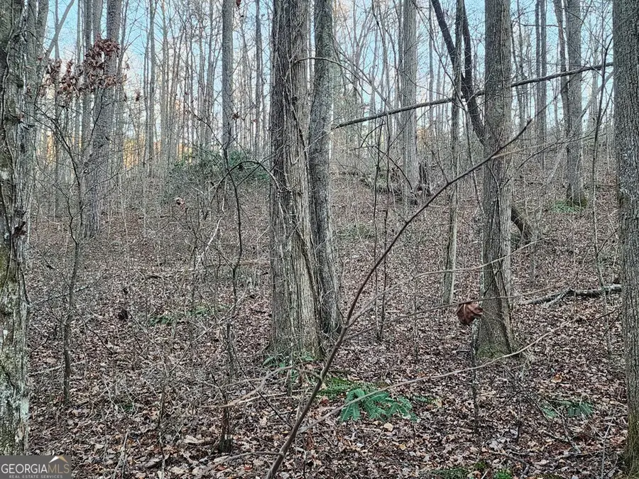 6720 Highway 382 W, Ellijay, GA 30540 - Image #3