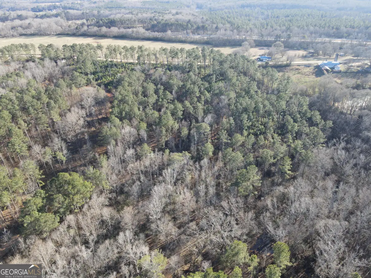 0 Baldwin Dairy Rd, Buckhead, GA 30625 - Image #1