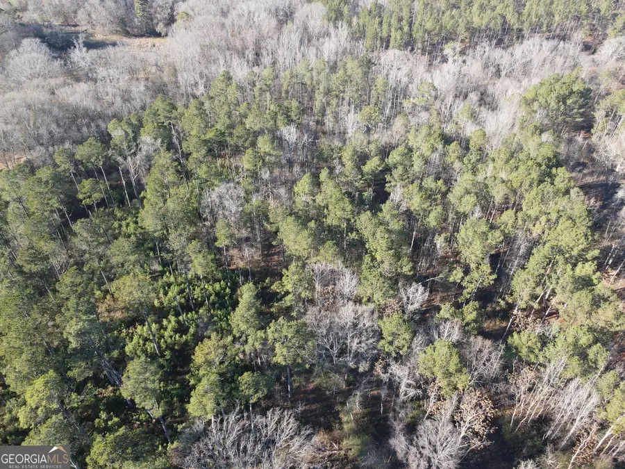 0 Baldwin Dairy Rd, Buckhead, GA 30625 - Image #3