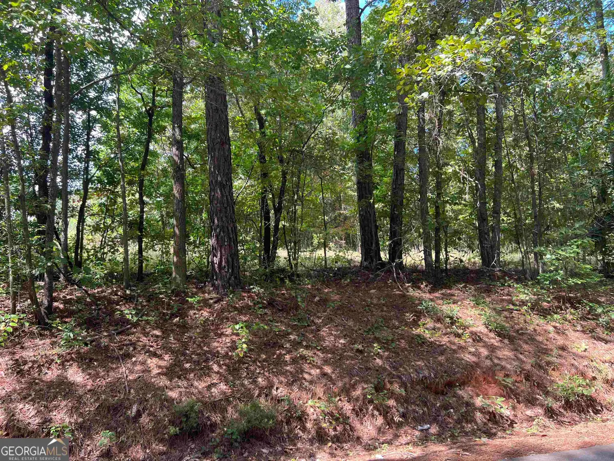 LOT 15 Weems Road, Molena, GA 30258 - Image #1
