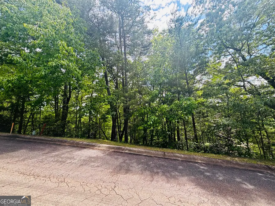 0 Rosen Strasse - Lot 141, Helen, GA 30545 - Image #3