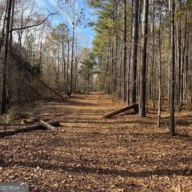 +/- 198 ACRES Dennis Creek Road, Talbotton, GA 31827 - Image #3