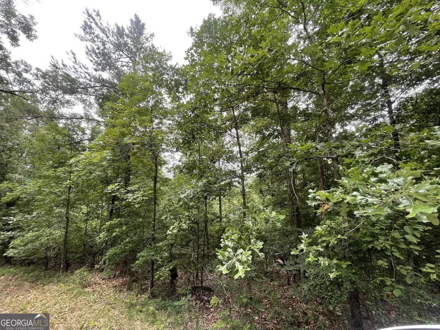 933 Apex Court, Ranger, GA 30734 - Image #3