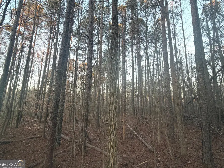 692 Hillcrest Road, Bowdon, GA 30108 - Image #3