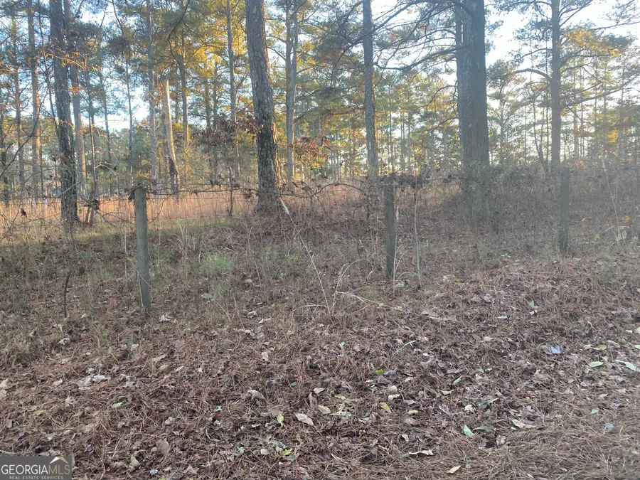 0 Ebenezer Road, Fayetteville, GA 30214 - #2